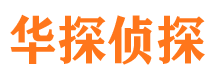 安居市私家侦探